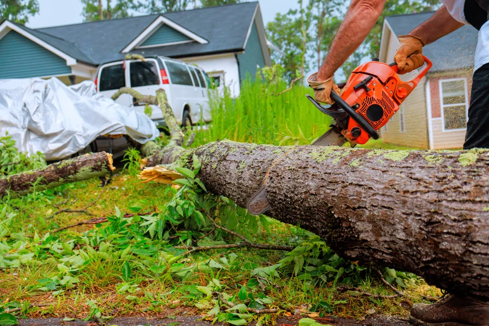 A person uses a chainsaw to cut a fallen tree blocking a suburban driveway, with a house and a white SUV visible in the background. Broken branches and leaves are scattered on the ground.