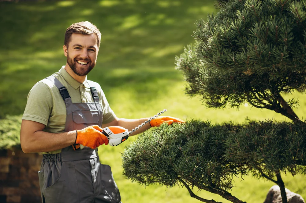 A smiling man in gray overalls and orange gloves trims a bush with an electric hedge trimmer in a sunny garden. Lush green grass and trees fill the background.
