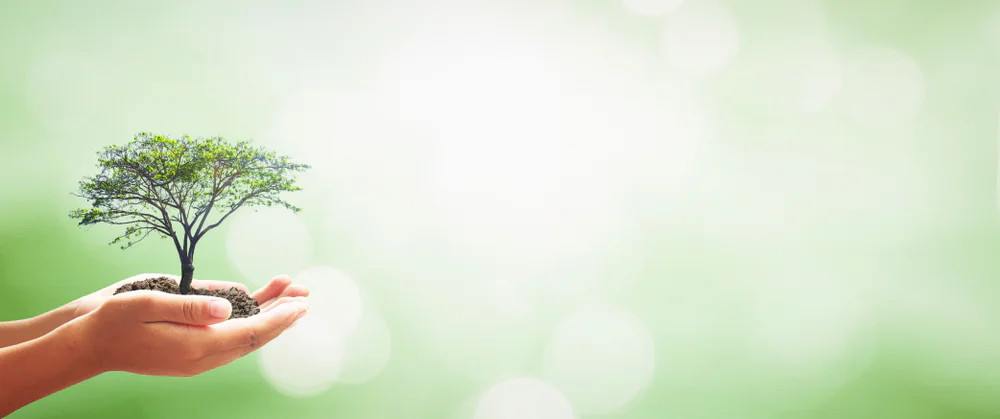 A pair of hands gently holds a small tree with soil, set against a bright, blurred green background, symbolizing environmental care and growth.