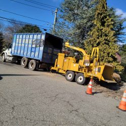 A yellow wood chipper attached to a blue tree service truck on a residential street is in operation. The truck, emblazoned with "Long Island Best Tree Service," has orange traffic cones around it while tree branches are being processed, showcasing expert tree removal Suffolk County trusts.