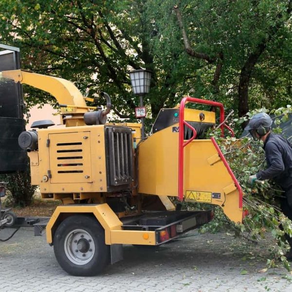 A worker, wearing protective gear, operates a wood chipper machine, feeding tree branches into it. The tree company Suffolk County employee ensures the chipped wood is discharged into a truck. The scene is set outdoors, surrounded by green trees.